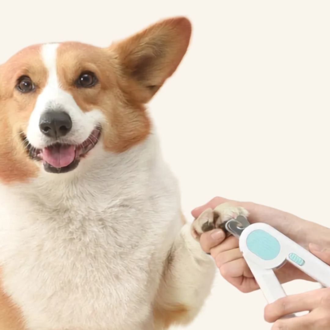 LED Pet Nail Clipper for Cats & Dogs